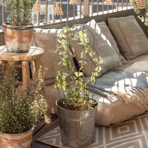 Balkon mit Sofa, Pflanzen und Kissen